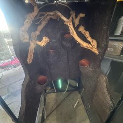 Reptile terrarium project