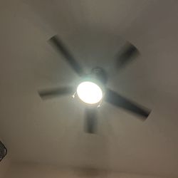 Like New Ceiling Fan 