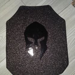 Fun Safe Spartan Armor Systems Carrier