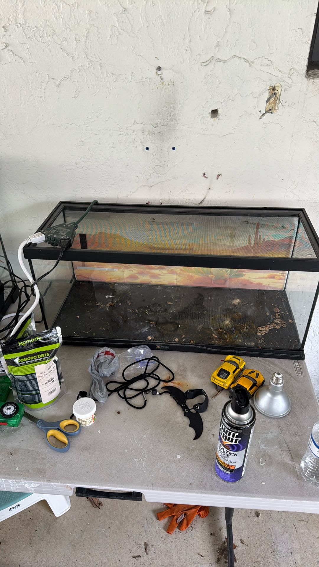 20gal ZooMed Reptile tank