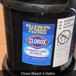 Clorox Disinfectant Bleach 5 Gallon Buckets 