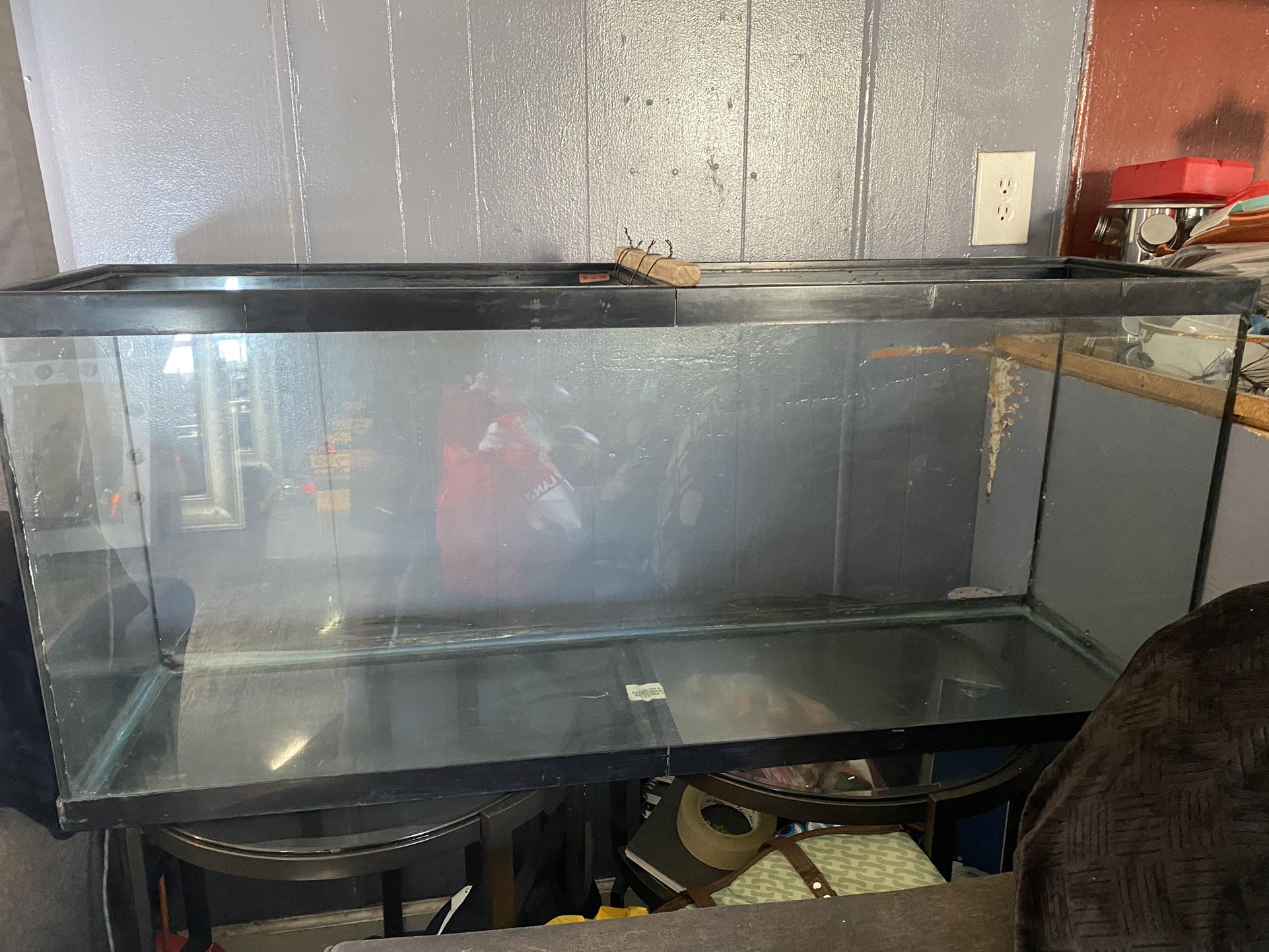 55 Gallon Fish, Reptile, Tank