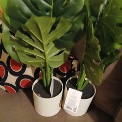2 Fake House Plants