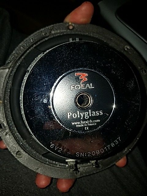 Focal 165v2 Polyglass 6.5 Mid-bass driver