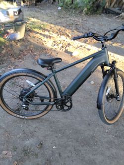E bike