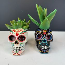 Set of 2 Dia de los Muertos Sugar Skull Succulent Decor