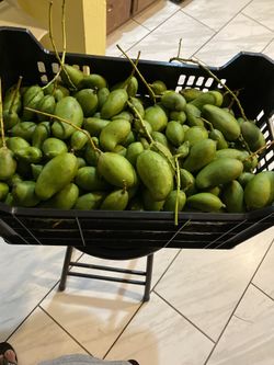 Mango verde $10 por libra