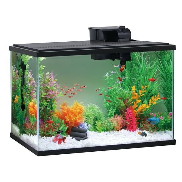 29 Gallon Glass Aquarium Starter Kit