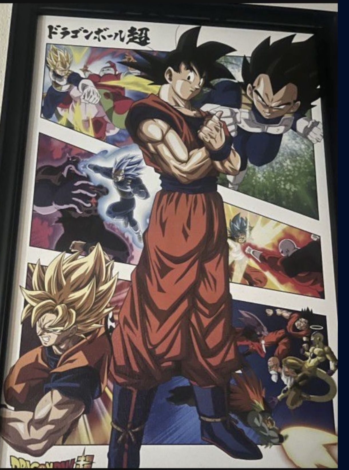 Dragon Ball Frame