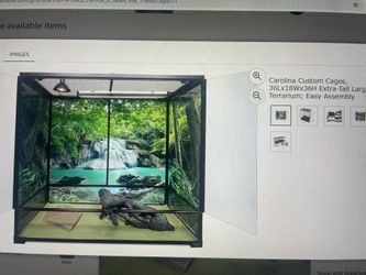 Huge Reptile Tank , Glass, With Many Extras