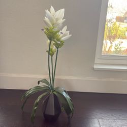 Small Plant Decor