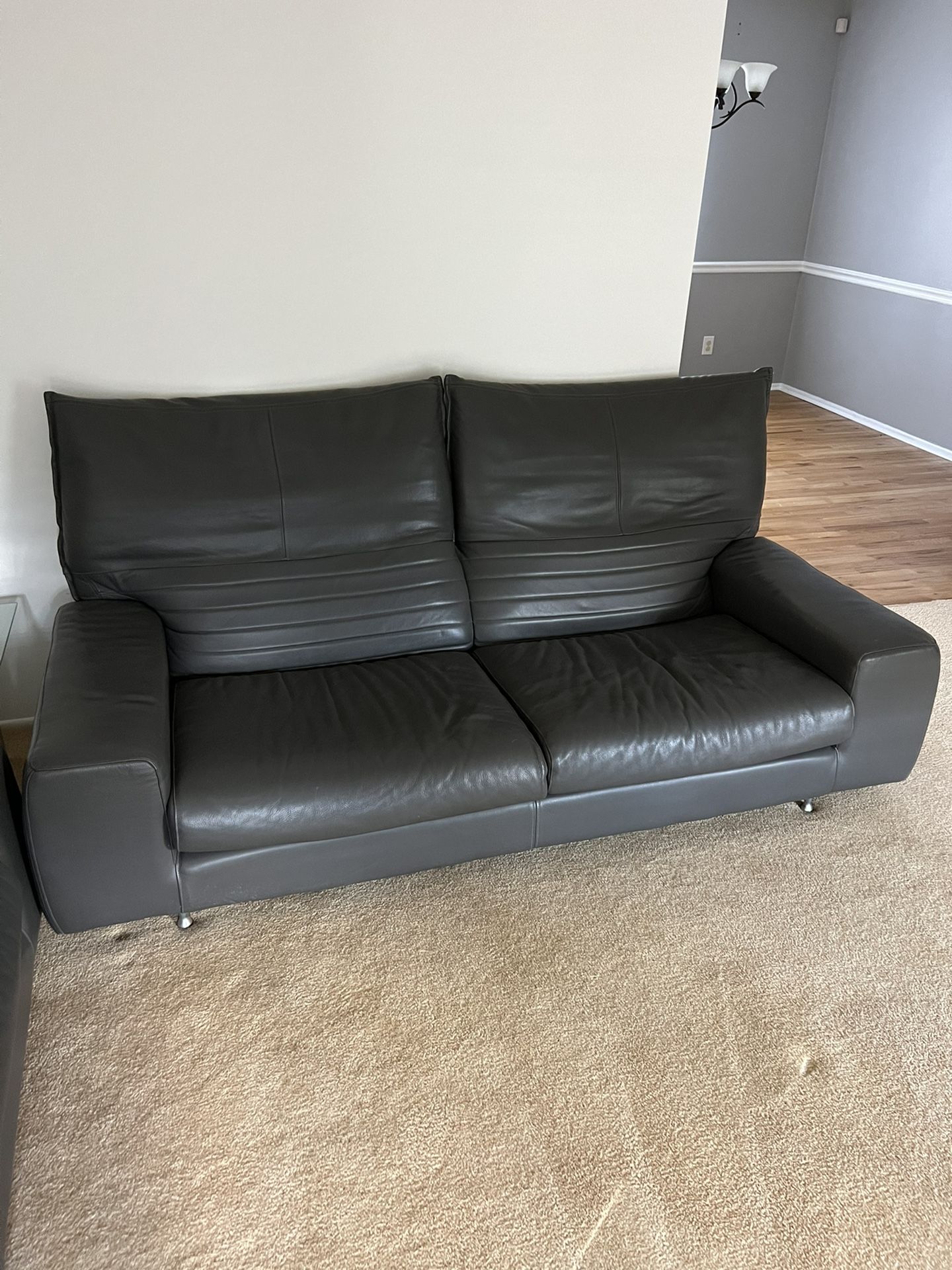 Leather Contemporary Couches