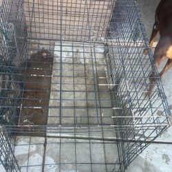 Dog Kennel