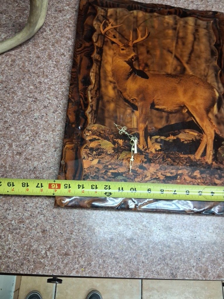 Deer mounted on wood polyurethane clock and antlers.