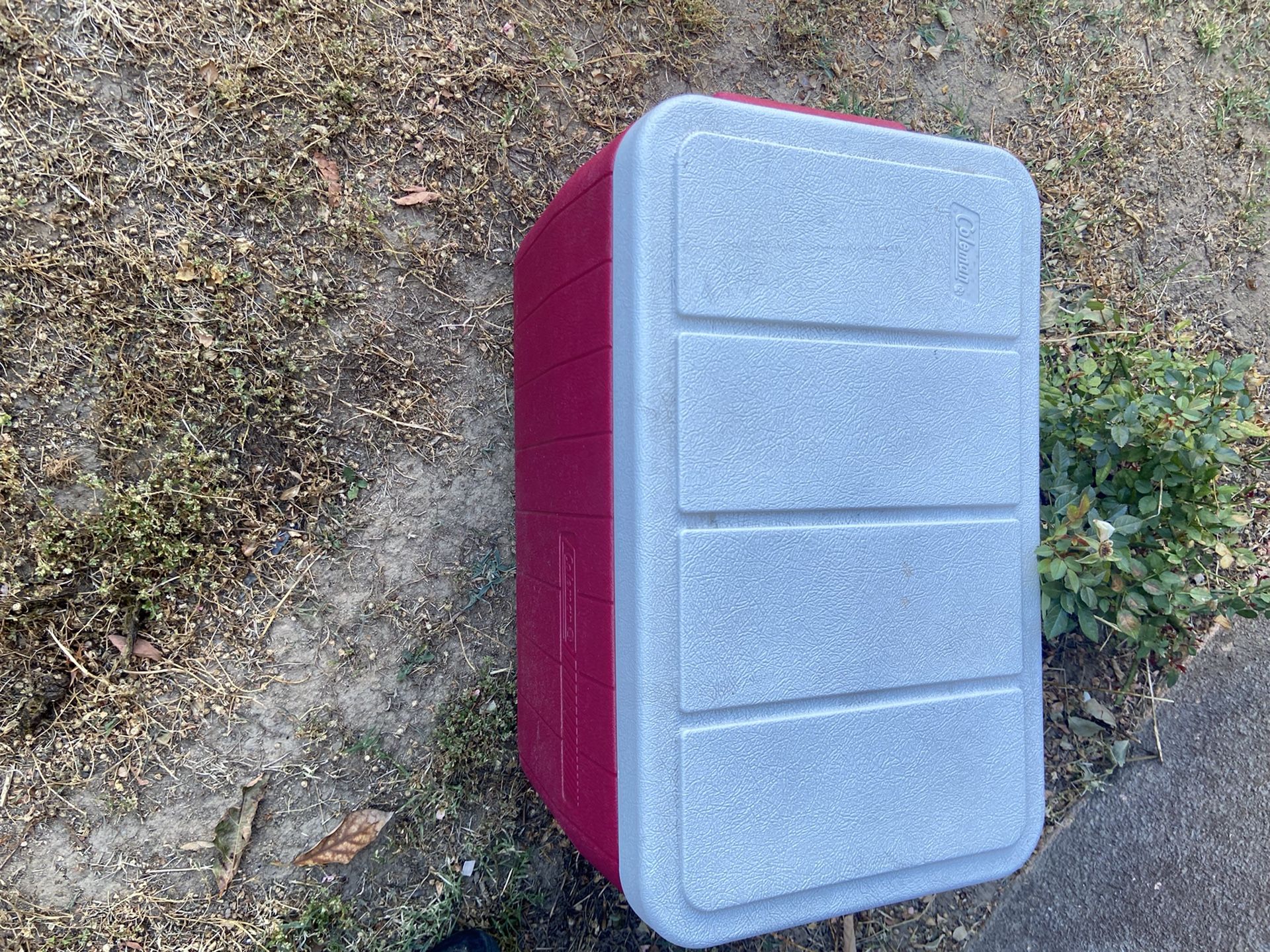 Vintage Coleman Cooler Great Condition