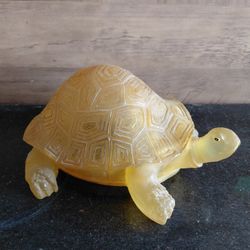 Turtle Glass