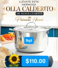 Caldero 9qt Acero Inoxidable Especial $110.00 Cosina Caldos frijoles Birria Pozole Princess House Ventas finales