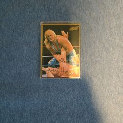 1994 Action Packed WWF Owen Hart #18