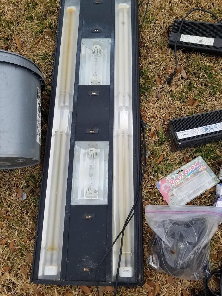 250 watt hqi Metal halide aquarium light