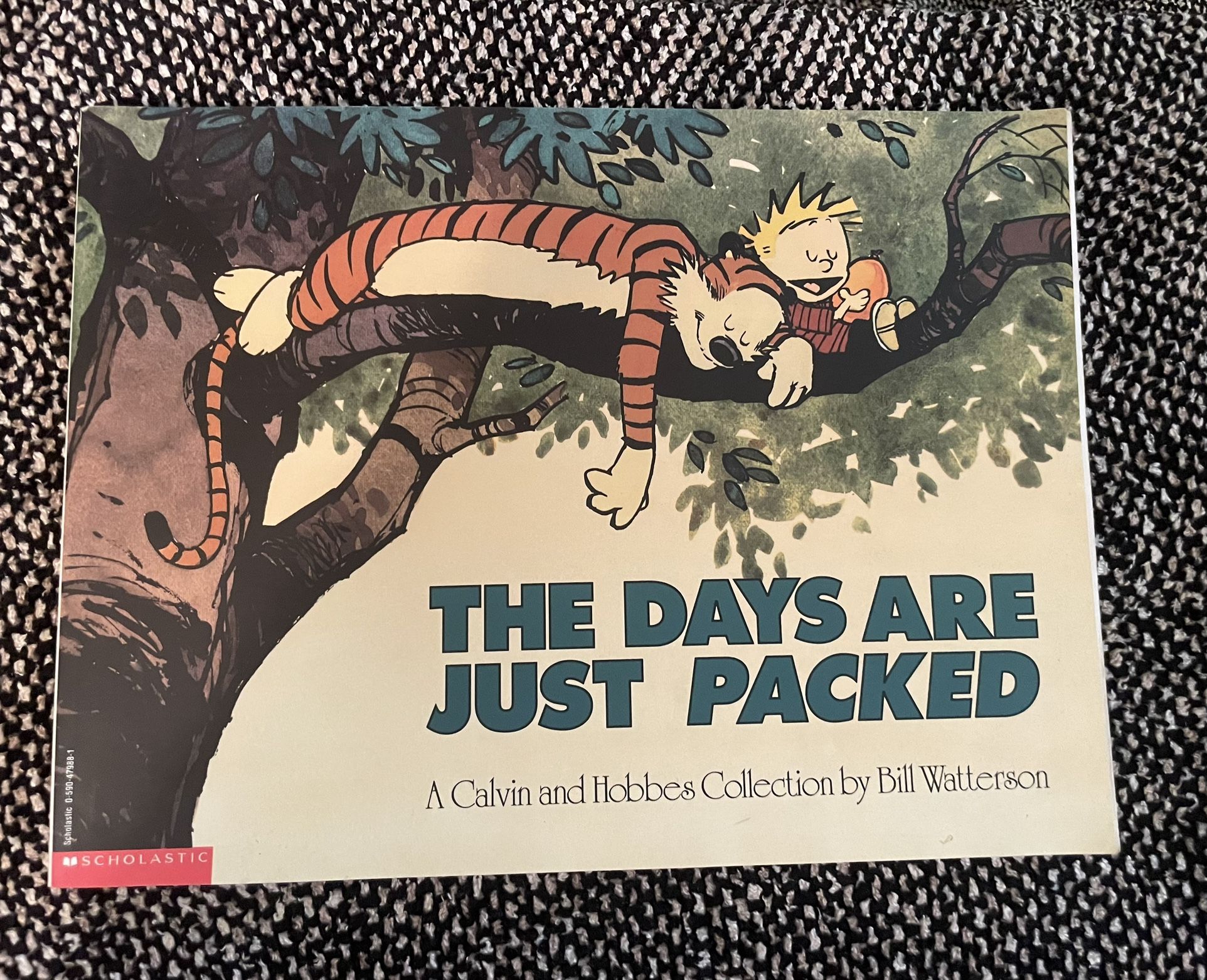 Calvin And Hobbes - The Days Are Just Packed