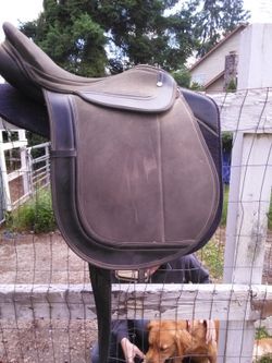 Saddle for sale with pad !