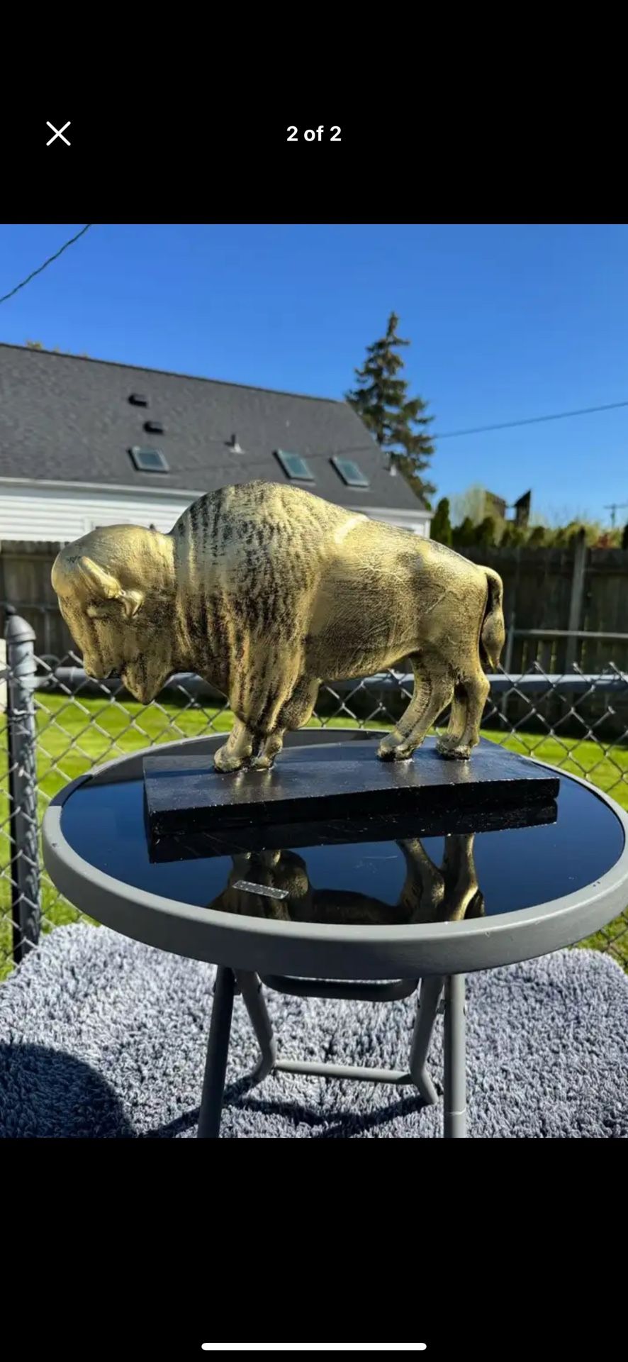 The Golden Buffalo