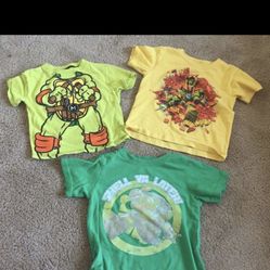 Boys Ninja Turtle Size 3/4t