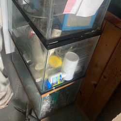 10 Gal Fish Tanks 