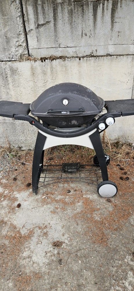 Weber Q Grill With Stand