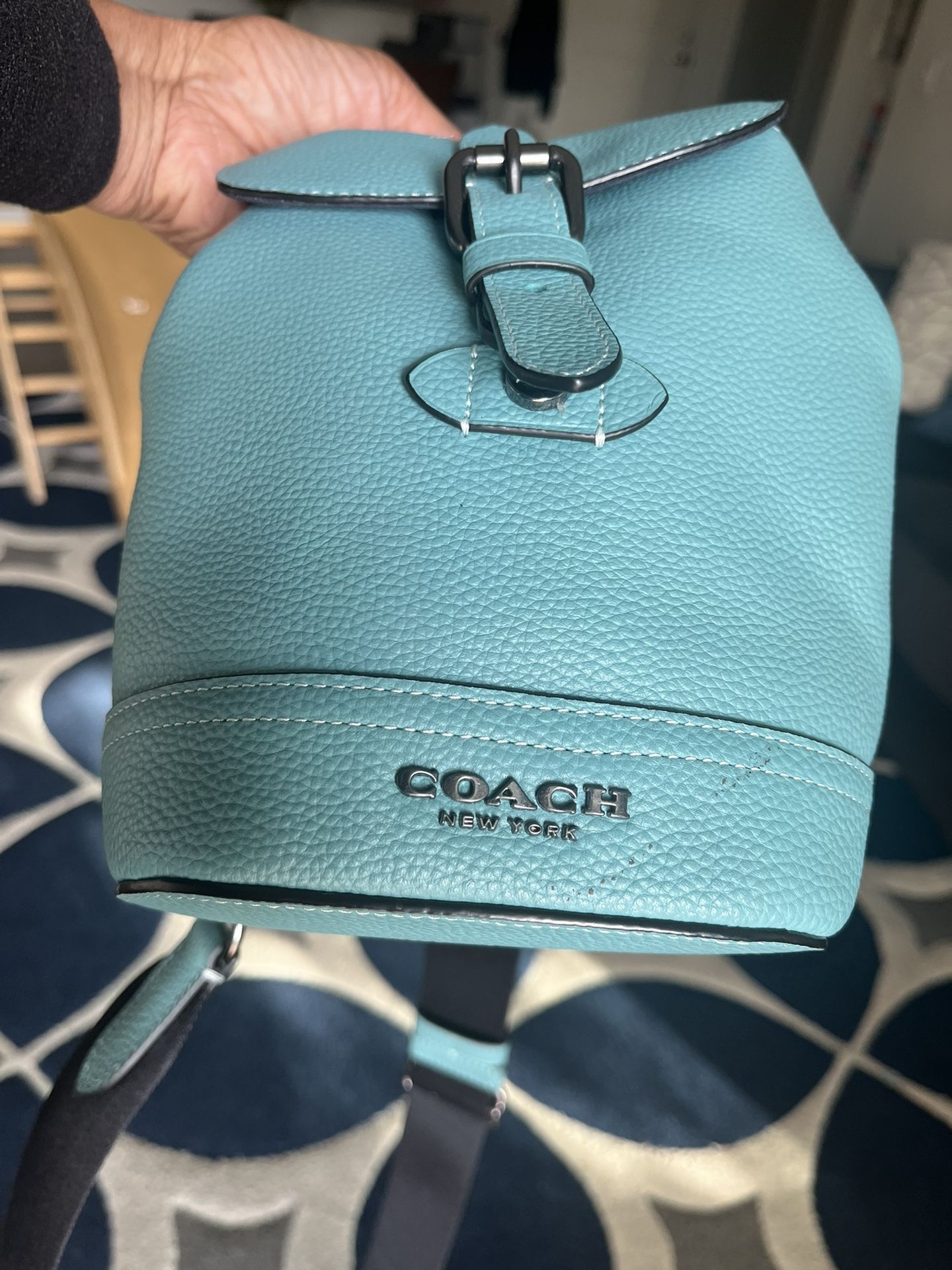 Coach Mini Sling Bag