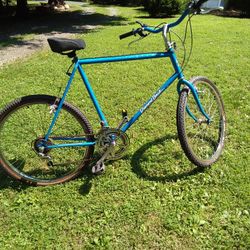 DIAMOND BACK. MOUNTAIN BIKE. 150