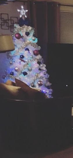 Christmas tree with Ornaments