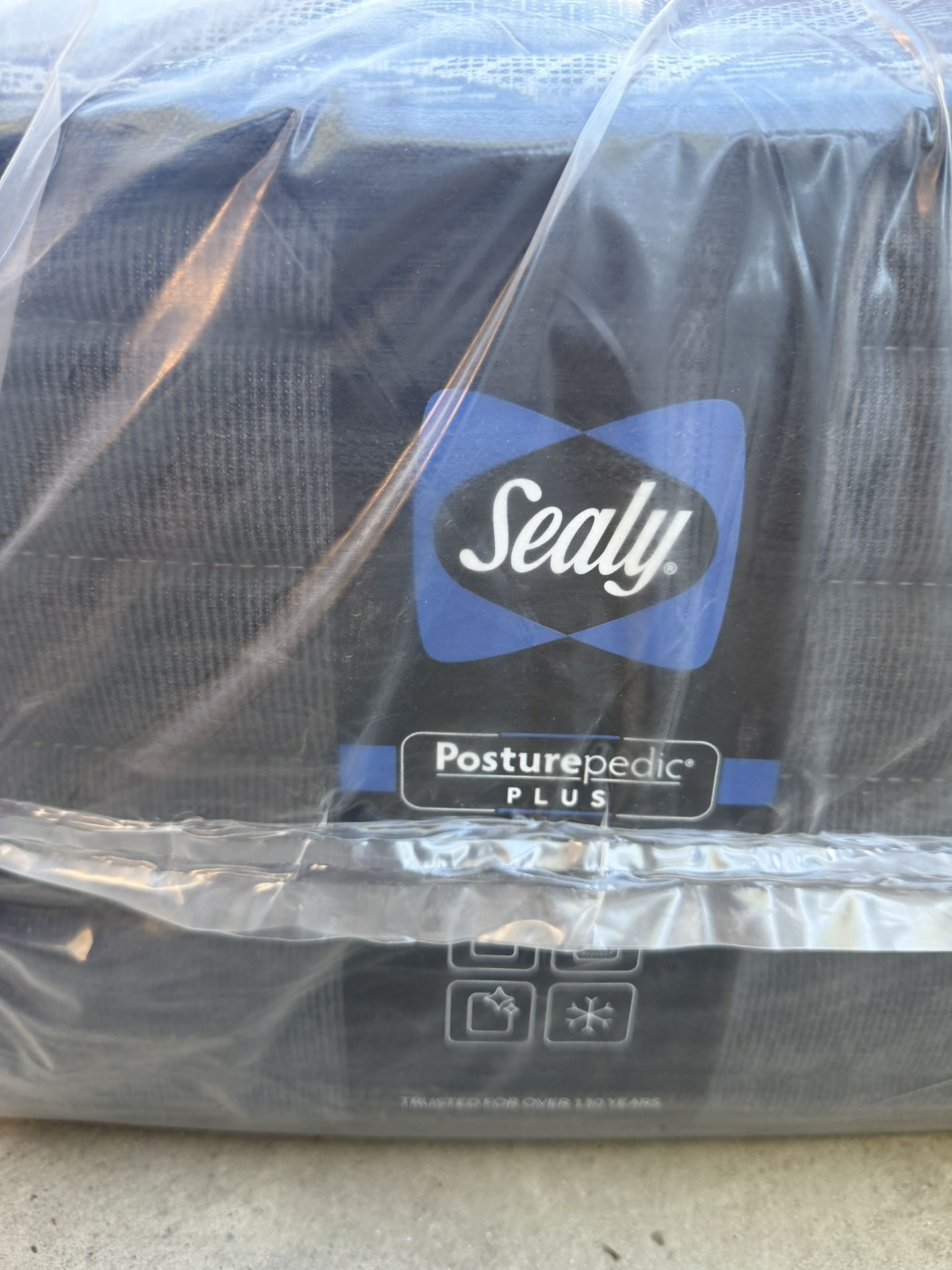 New Queen Size Sealy Mattress