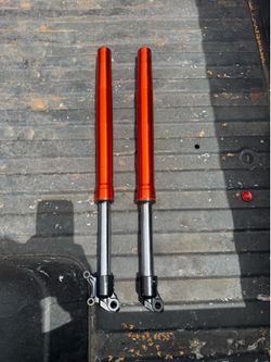 Tuttio front forks