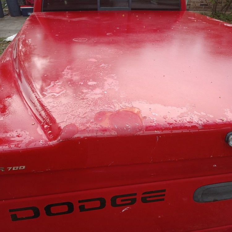 Dodge Dakota Truck Topper for Sale in Jacksonville, FL OfferUp