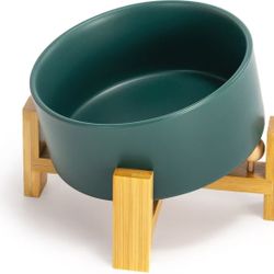 SpunkyJunky Slanted Ceramic & Wood Non-Slip Dog Bowl, 1 count, 3.6 cup, Green