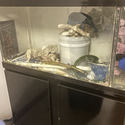 80 gallon fish tank