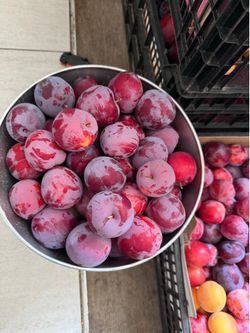 Apricots and plums