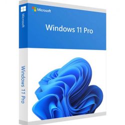 Windows 11 Pro OEM CD-KEY GLOBAL-Lifetime