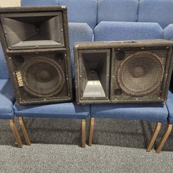 Yamaha Speaker System  12inch