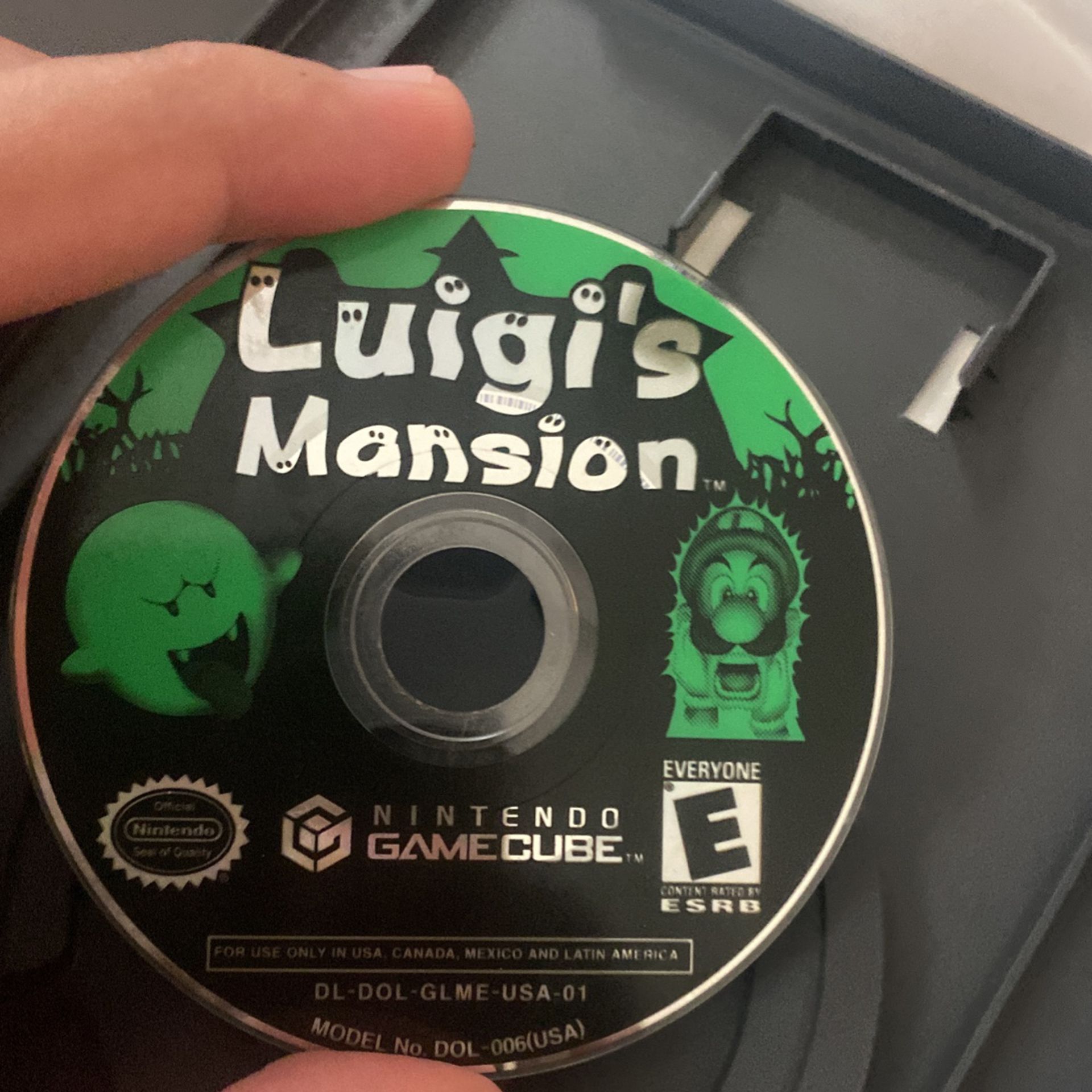 Luigi Mansion