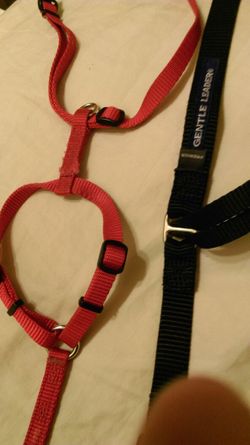 Harnesses and gentle leader for small to mid-sized breeds