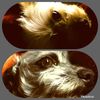 Edgar