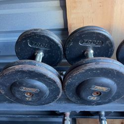 45 lbs TROY ProStyle Dumbbells  Weights…. Home Gym Fitness….