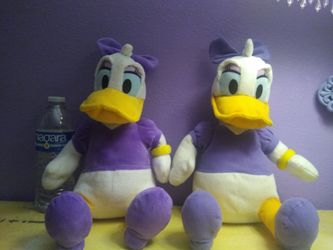 Daisy duck