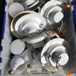 *** Various light bulbs, down cans, flush mount recessed LED ***