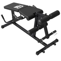 Leg Extension and Leg Curl Machine