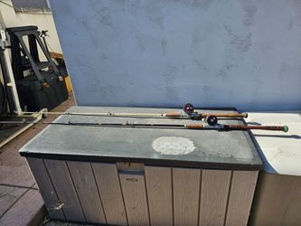Penn jigmasters and offshore rods