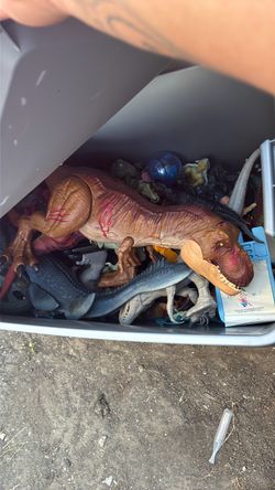 Lot of dinosaurs