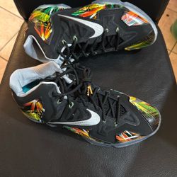 LeBron XL Everglades